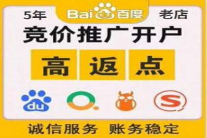 企业在SEM代运营托管公司的帮助下实现品牌升级